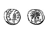 Coin of Ambivius, procurator of Judea 10-13 AD